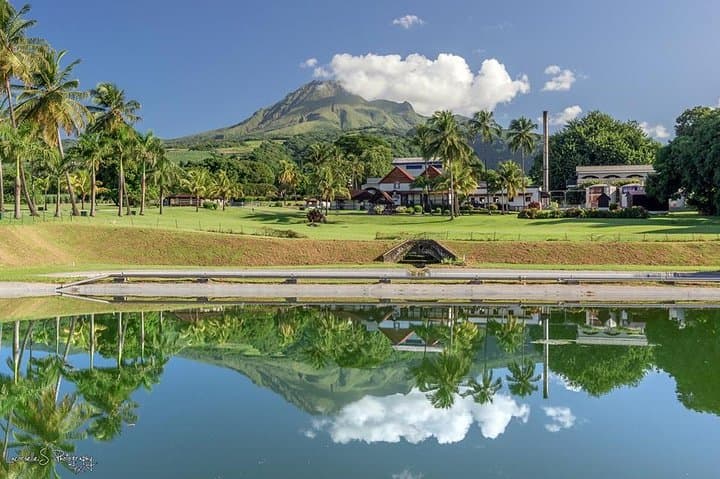 VIP Northern Martinique Deep Forest Tour — Saint‑Pierre, Distilleries & Rainforest Drives photo 1
