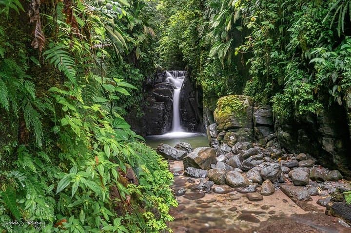 VIP Northern Martinique Deep Forest Tour — Saint‑Pierre, Distilleries & Rainforest Drives photo 3