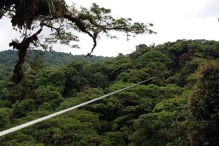 Monteverde Cloud Forest Zipline Canopy Tour — High-Canopy Adventure in Costa Rica photo 2