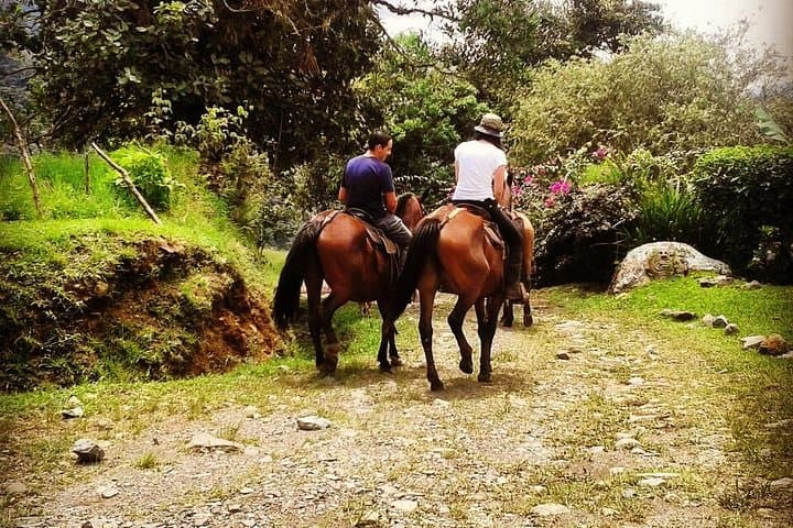 Queveri Horseback Cattle Drive with Volcano Viewpoint photo 3
