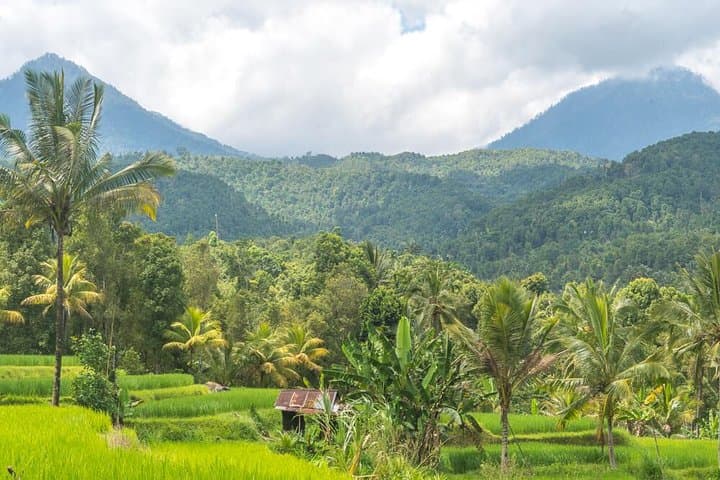 Exploring Munduk Village: Waterfalls, Rice Terraces & Traditional Houses photo 3