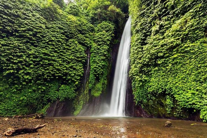 Exploring Munduk Village: Waterfalls, Rice Terraces & Traditional Houses photo 4