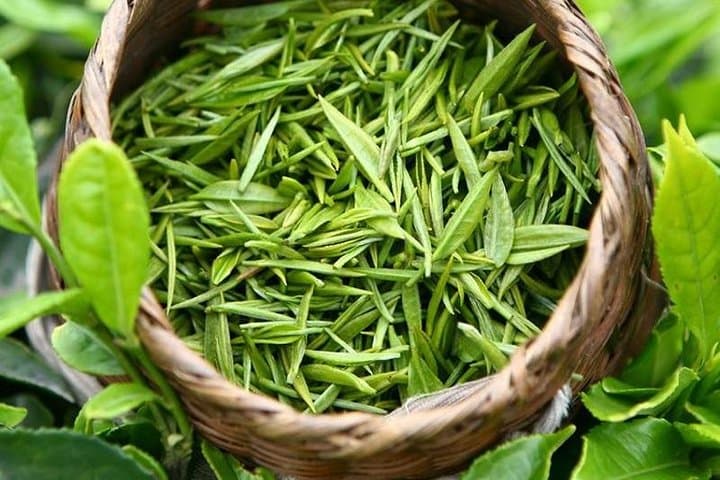 Half-Day Private Hangzhou Tour — West Lake, Lingyin & Longjing Tea photo 5