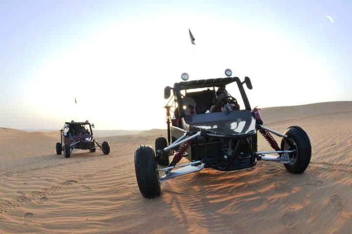 Drive Dubai's Red Dunes: 1000cc Buggy Ride with Camel & Falcon Photo photo 4