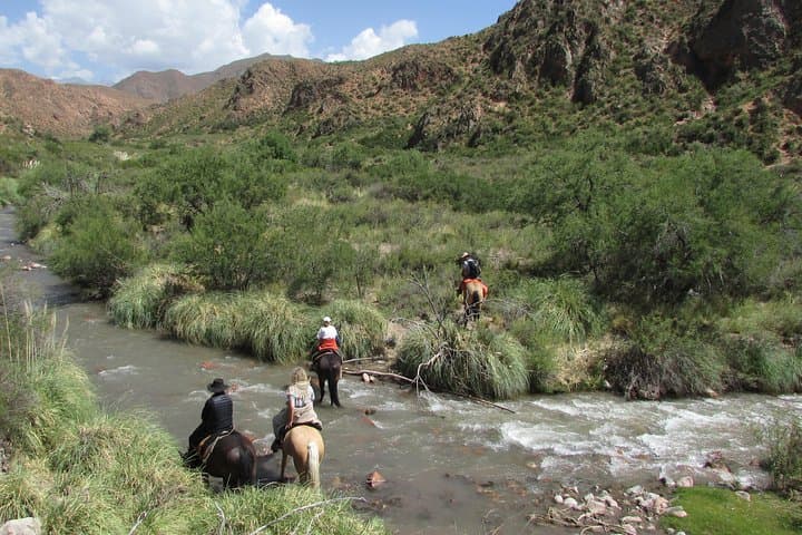 Full-Day Horseback Ride at the Foot of the Andes — Mendoza Gaucho Experience