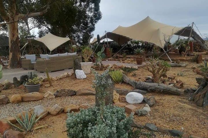 Cape Town to Aquila Safari Transfers — Private Game Reserve Transport Guide photo 4