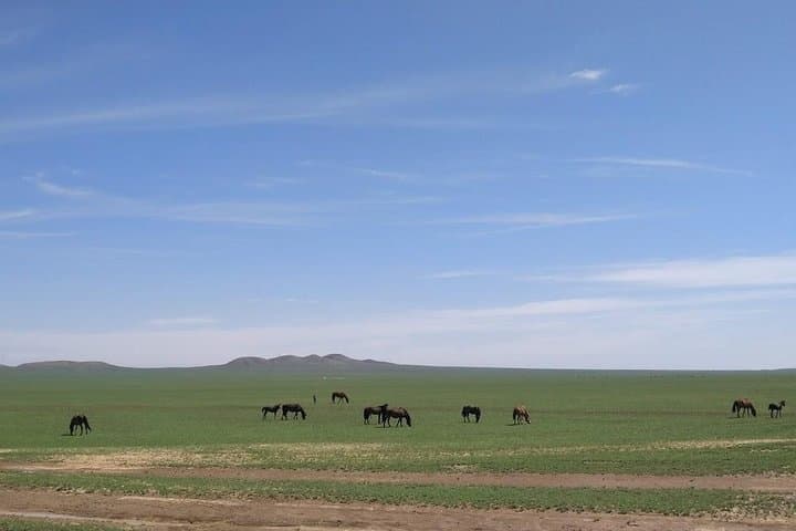 4-Day Inner Mongolia Huitengxile Grassland, Wulanhada Volcano & Kubuqi Desert Tour photo 3