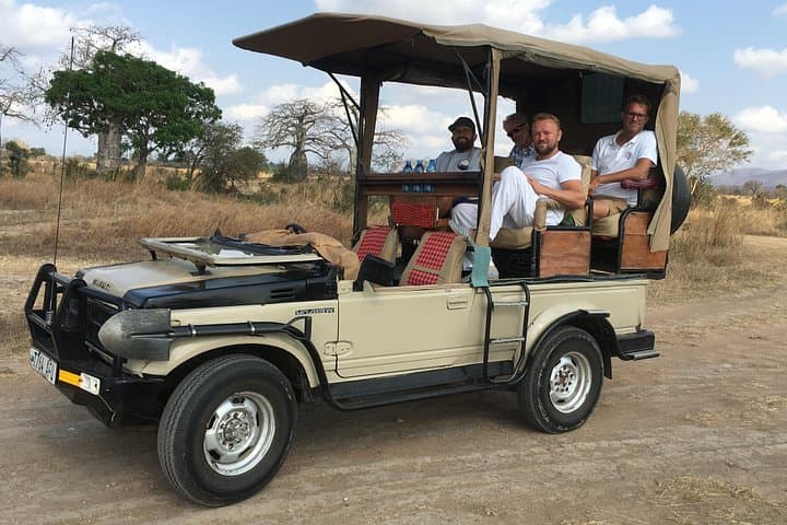 Day Safari from Zanzibar to Mikumi National Park – Big Five & Birding photo 4