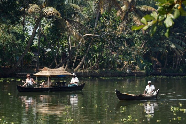 Kerala Nature & Pilgrimage Tour: Backwaters, Tea Hills & Temple Trails photo 4