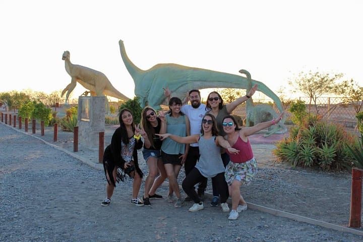 Humberstone Saltpeter Works and Pica Oasis: Full-Day Saltpeter Tour from Iquique