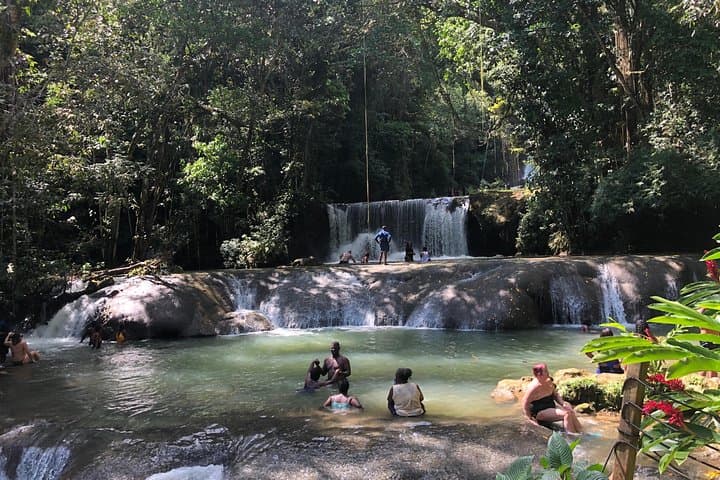 Black River Safari, YS Falls & Appleton Estate Day Tour from Negril