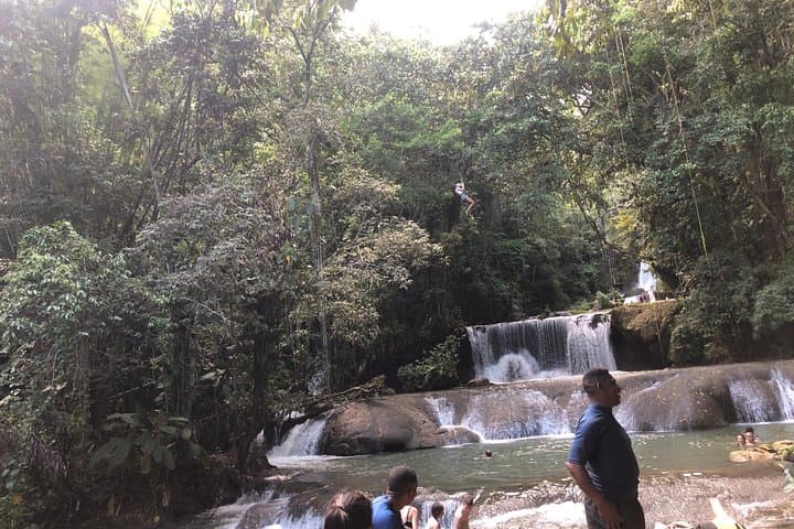 Black River Safari, YS Falls & Appleton Estate Day Tour from Negril photo 2
