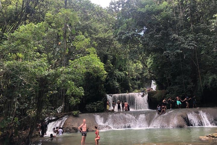 Black River Safari, YS Falls & Appleton Estate Day Tour from Negril photo 5