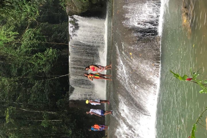 Black River Safari, YS Falls & Appleton Estate Day Tour from Negril photo 6