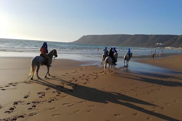 Essaouira Day Trip from Marrakech: Coastal Kasbah, Seafood & Medina Walk photo 4