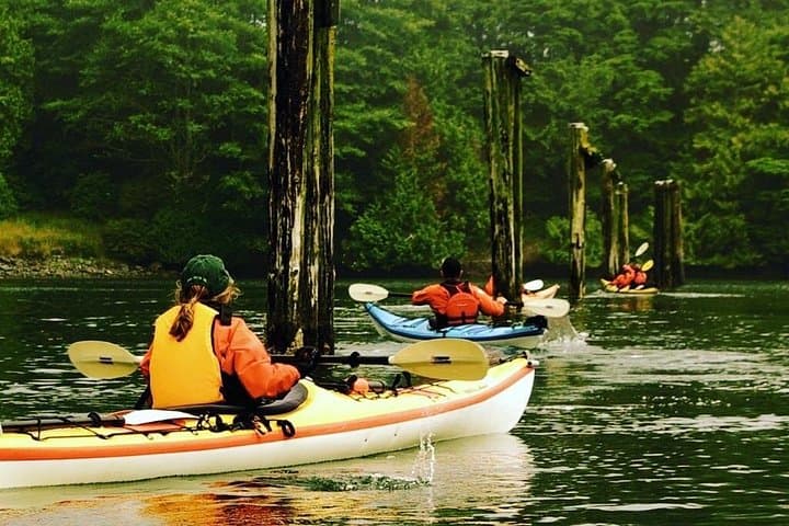 Ucluelet Harbour Kayak Tour — Wildlife, Tide Pools & Coastal History photo 1