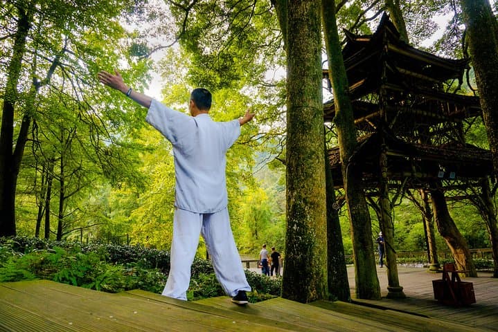 Qingcheng Mountain Taichi & Tea Tasting: Taoist Temple Class Near Dujiangyan photo 4