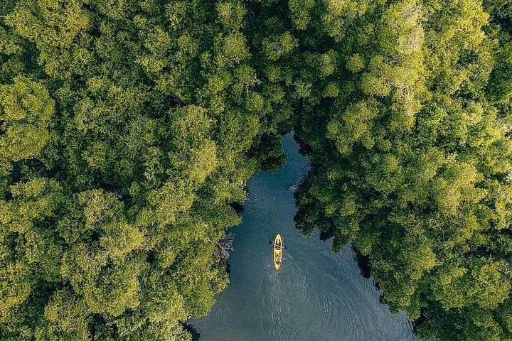 Madu River Sunrise Mangrove Kayaking Retreat — Ahungalla Sunrise Paddle photo 1