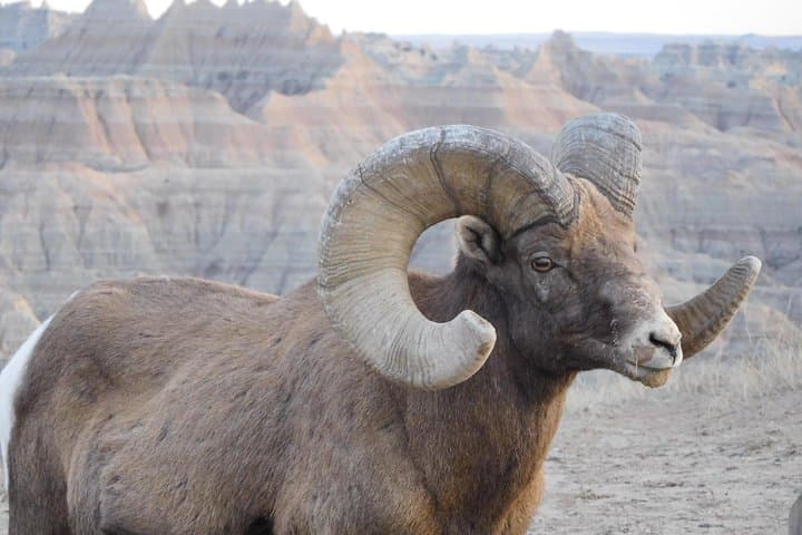 Explore the Badlands on a Private Guided Tour with Local Experts photo 2