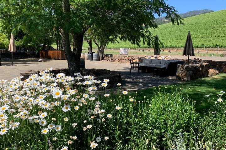 Private Napa and Sonoma Wine Tour — 6–8hr Custom XL SUV Experience photo 2