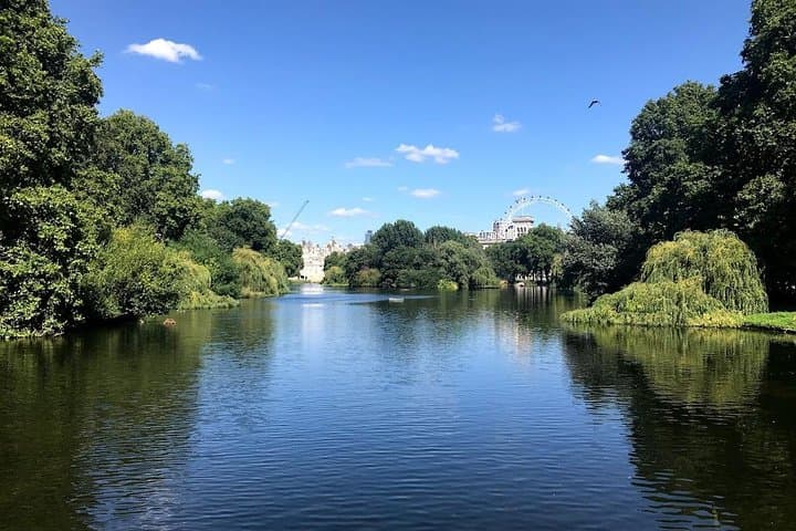 Half-Day Traditional London Walking Tour: Westminster, Buckingham & the Thames photo 3