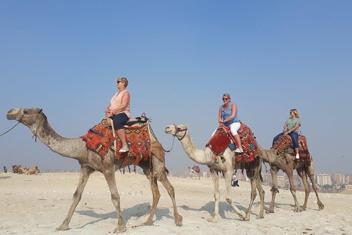 3-Day Cairo and Alexandria Tour — Pyramids, Citadel & Bibliotheca photo 3