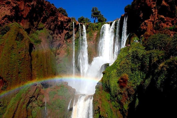 Day Trip to Ouzoud Waterfalls from Marrakech: Swim, Monkeys & Berber Villages photo 3