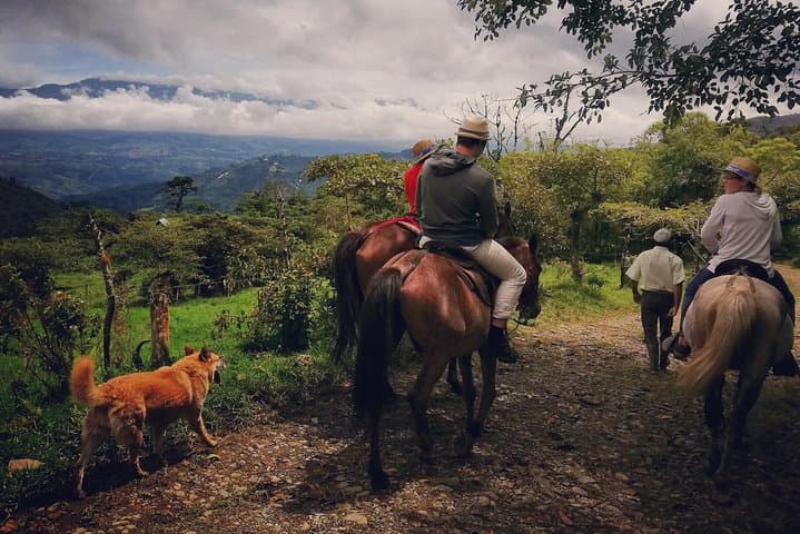 Queveri Horseback Cattle Drive with Volcano Viewpoint
