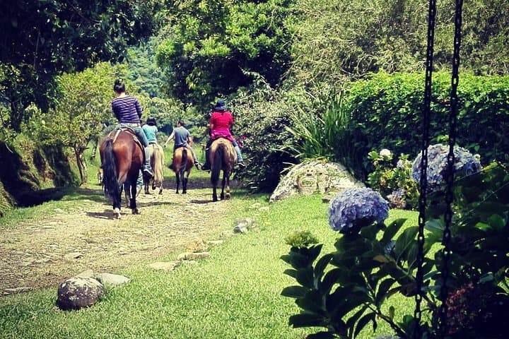Queveri Horseback Cattle Drive with Volcano Viewpoint photo 5