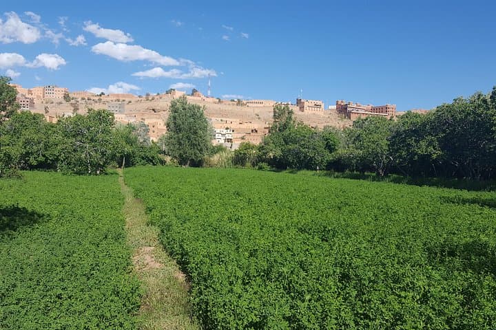 Merzouga Desert & Atlas Mountains: 4-Day Sahara Adventure from Casablanca photo 2