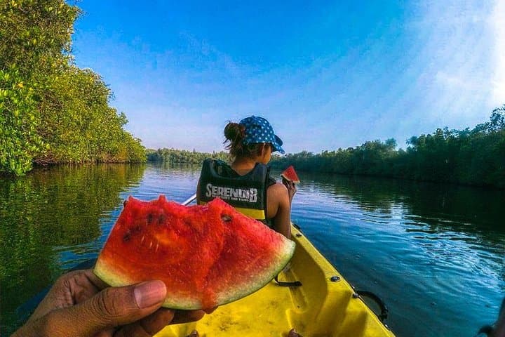 Sunrise Mangrove Kayaking on Madu River: Colombo Day Trip photo 4
