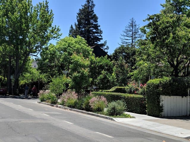 Private Silicon Valley Day Tour from San Francisco: Google, Apple & Stanford Highlights photo 4