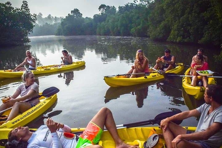 Sunrise Mangrove Kayaking on Madu River: Colombo Day Trip photo 3