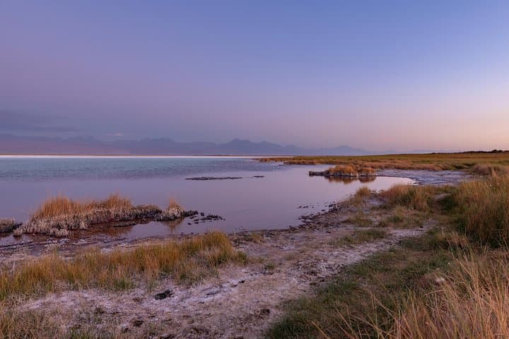 Atacama Salt Flat Lagoons: Half-Day Floating Tour from San Pedro de Atacama photo 4