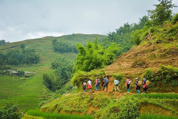 Sapa Rice Terraces Trek: Y Linh Ho, Lao Chai & Ta Van Day Hike photo 2