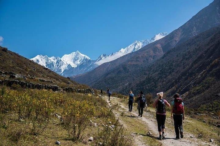 Langtang Valley Trekking: An 8-Day Himalayan Trek to Kyanjin Gompa photo 4