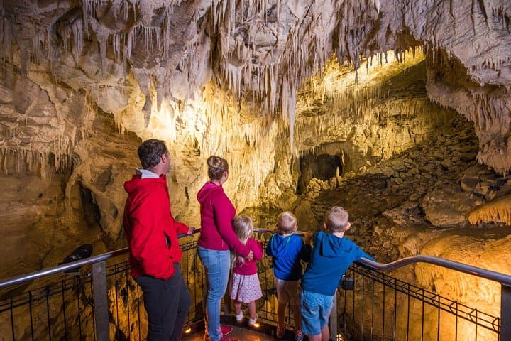 Aranui Cave Walk: 1-Hour Guided Tour in Waitomo's Hidden Limestone Chambers photo 3