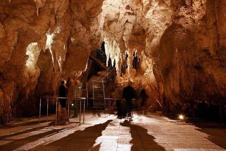 Aranui Cave Walk: 1-Hour Guided Tour in Waitomo's Hidden Limestone Chambers photo 5