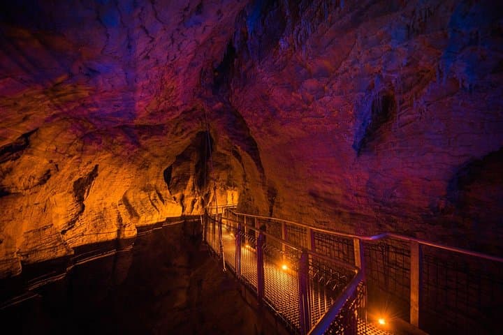 Aranui Cave Walk: 1-Hour Guided Tour in Waitomo's Hidden Limestone Chambers photo 6