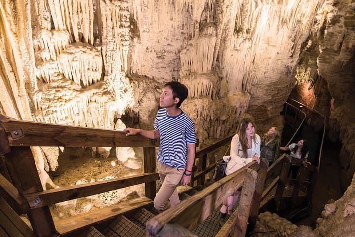 Ruakuri Cave Guided Tour: Waitomo Glowworms, Stalactites & Underground Rivers photo 4