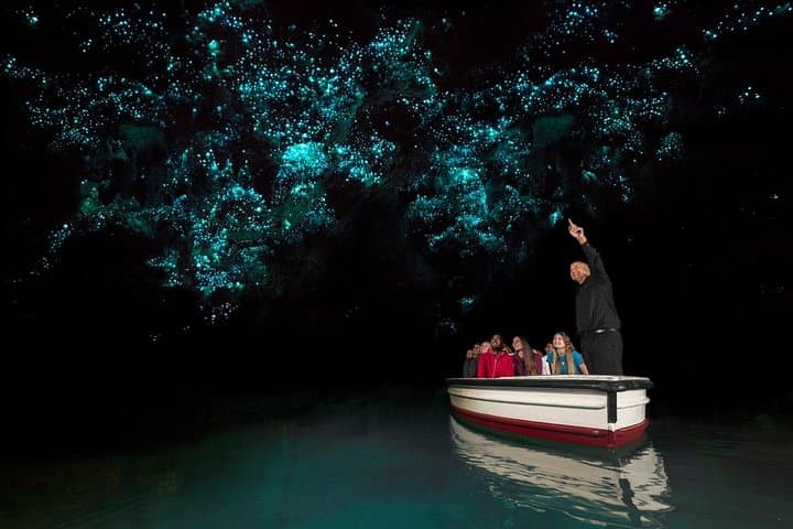 Waitomo Glowworm Caves Guided Tour — Boat Through New Zealand's Glowworm Grotto photo 2
