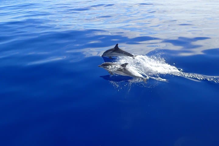 Naxos Small Cyclades Cruise: Blue Lagoon, Rina Cave & Antiparos Day Sail photo 1