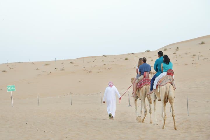 Abu Dhabi Overnight Desert Safari: Stargaze, Dune Bashing & Bedouin Camp Experience photo 2