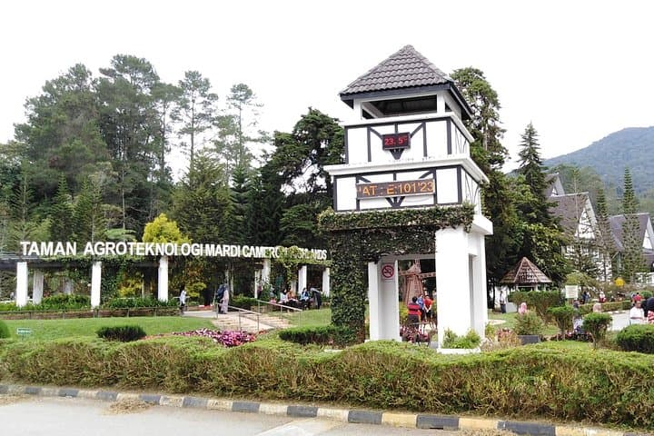 Cameron Highlands Day Trip: Tea Estates, Waterfalls & Strawberry Farms from Kuala Lumpur photo 5
