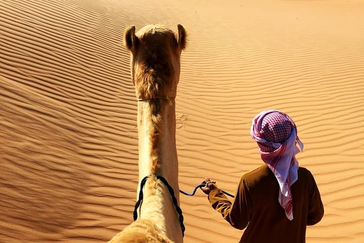 Sunrise Desert Safari from Abu Dhabi: Dune Bashing, Camel Farm & Sandboarding