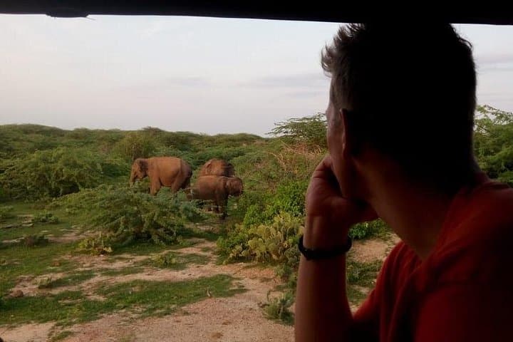 Evening Private Safari at Bundala National Park — Flamingos, Elephants & Dusk Birding photo 2