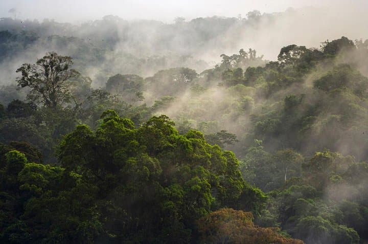 Pocosol Jungle Expedition in the Children's Eternal Rainforest photo 2