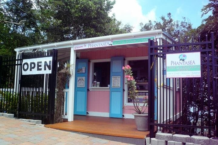 Phantasea Tropical Botanical Garden: St. Thomas Nature Walk & Orchid Collection photo 2