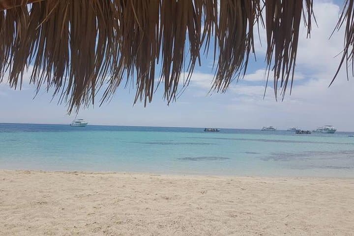 Swim with Dolphins and Snorkel Giftun Island from Hurghada