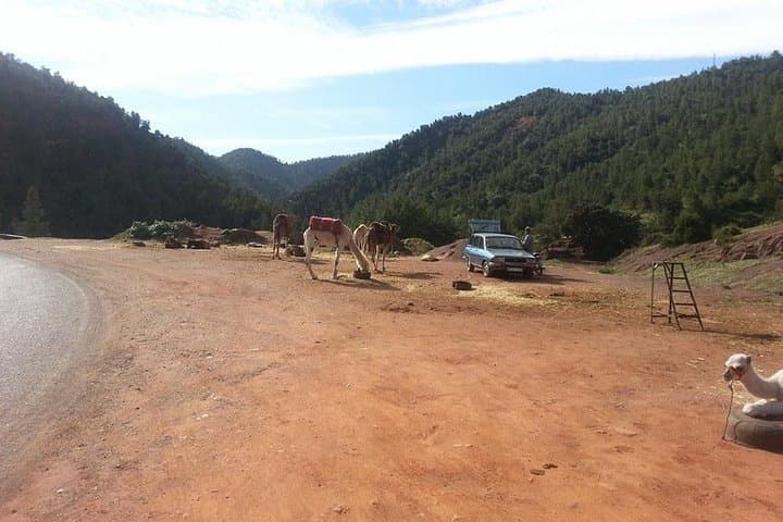 Setti Fadma & Three Valleys Day Trip from Marrakech — Atlas Mountains Hiking and Berber Villages photo 3